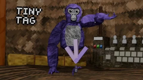 Tiny Tag custom map arena and gameplay preview for Gorilla Tag